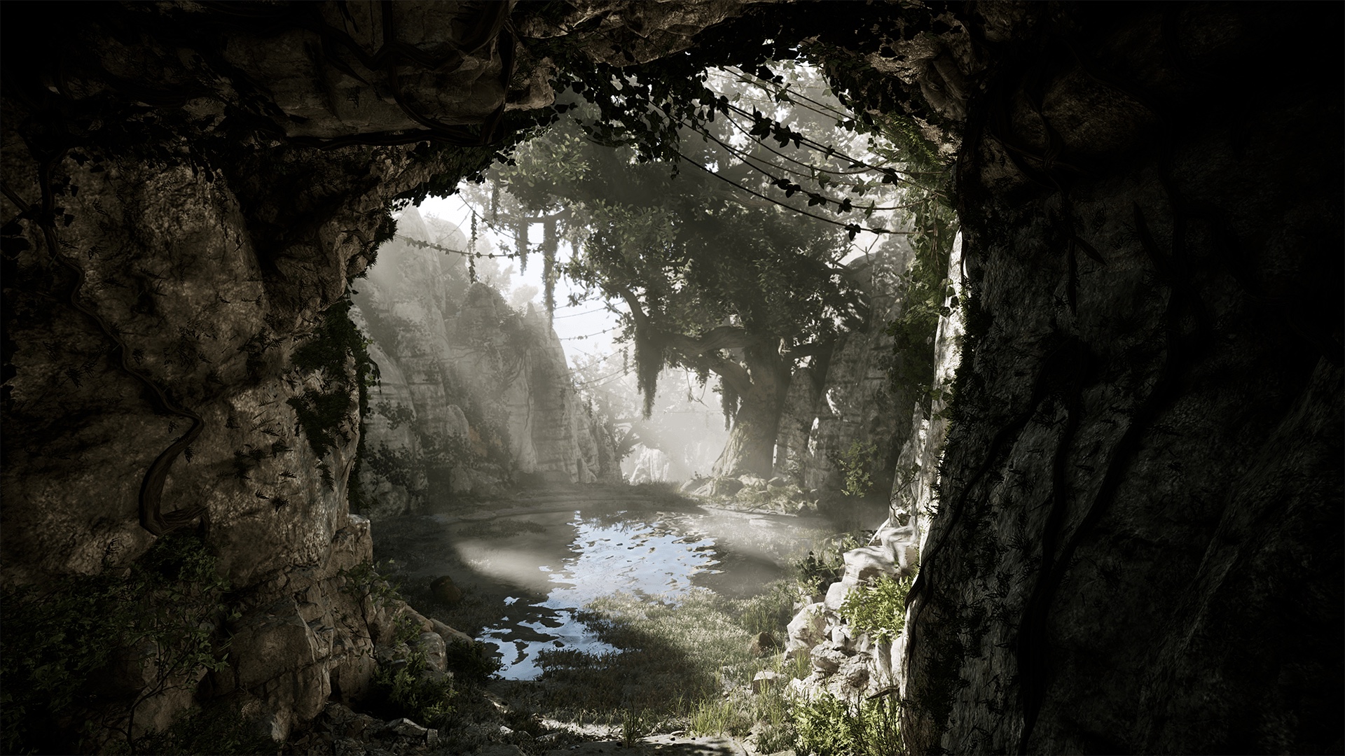 Gothic 1 Remake Lares swampweed quest — a vine-draped cave mouth opening onto a misty marsh pool